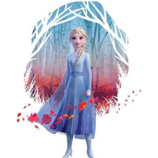 👉 Frozen 2 Find The Way Colour Women's T-Shirt - White - 5XL - Wit