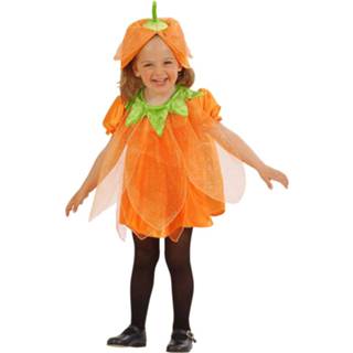 👉 Active kinderen Carnavalspak kinderen: Pompoen voor Halloween 8003558492404