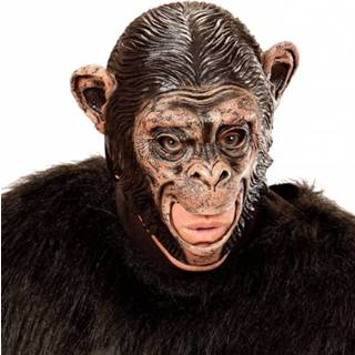 👉 Dierenmasker active chimpansee 8003558004256