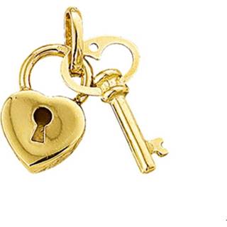 👉 Bedel sleutel geelgoud goud unisex active goudkleurig TFT En Slot 8718834181889