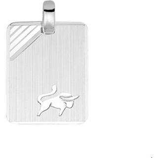 👉 Zilver unisex active TFT Graveerhanger Sterrenbeeld Stier Gediamanteerd 8718834089680