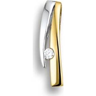 👉 Oorhanger bicolor diamant vrouwen active Huiscollectie 4206364 gouden hanger met 0.018 crt 8718834333707