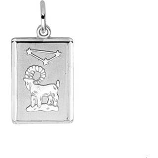 Bedel zilver unisex hangers Gerhodineerde sterrenbeeld Ram 1300134 8718834164035