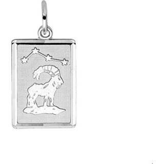 Bedel zilver unisex hangers Gerhodineerde sterrenbeeld Steenbok 1300143 8718834164141