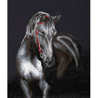 👉 One Size GeenKleur Midnight Stallion Diamond Dotz: 53x42 cm 4897073242408