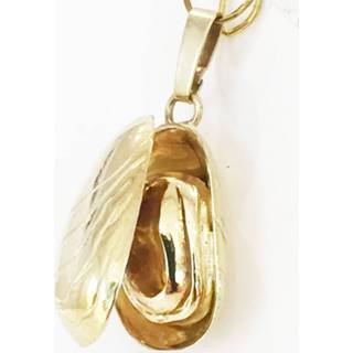 👉 Gouden hanger - Zeeuwse mossel - (68 mossel hanger)