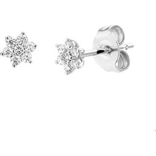👉 Oorknop witgoud diamant glanzen glanzend active vrouwen zilverkleurig TFT Oorknoppen Ster 0.14 Ct. 5 mm x 8718834510771