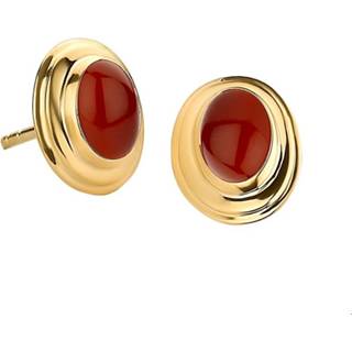 👉 Oorknop geelgoud One Size no color TFT Oorknoppen Carneool Glanzend 8718834614417