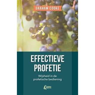 👉 Boek Effectieve profetie - Graham Cooke (9490489611) 9789490489618