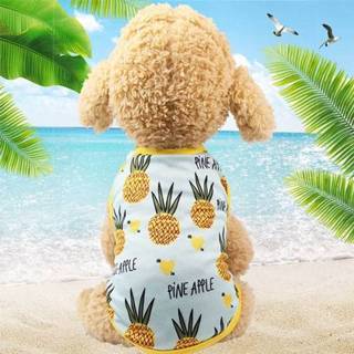 Print T-shirt XS Huisdier fruit puppy hond kat cute rok maat: (vest-ananas) 8226890318687