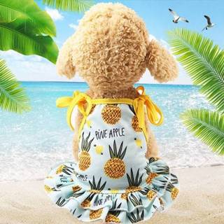 Print T-shirt XS Huisdier fruit puppy hond kat cute rok maat: (rok-ananas) 8226890366589