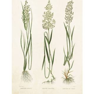 👉 Active Kaart, grassprieten