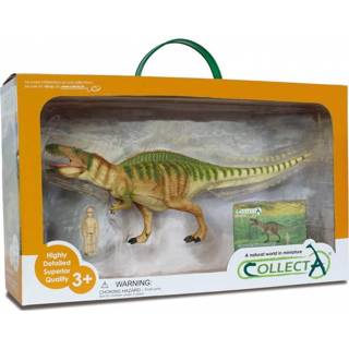 👉 Bruin kunststof junior groen Collecta prehistorie: Acrocanthosaurus speelset 35 cm 4892900898049
