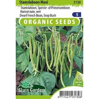 👉 Stamslaboon Maxi, Sperzie- of Prinsessenboon