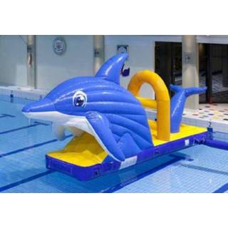 👉 Zwembad glijbaan dolfijn, 6,0x2,0x3,0 meter