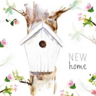 Vogelhuisje nieuwe woning Nieuw Huis | Michelle Dujardin