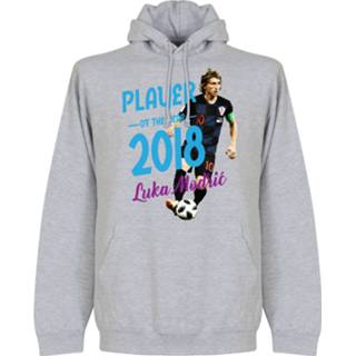 👉 Sweater grijs Modric Voetballer van het jaar 2018 Hooded -