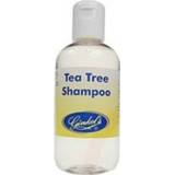 👉 Shampoo active Ginkels Tea Tree 200 ml 8714369002750
