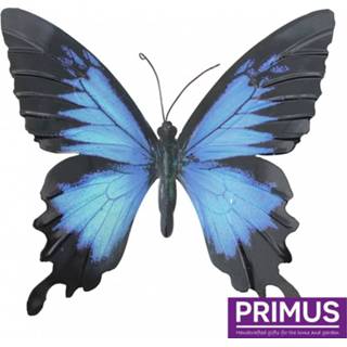 👉 Grote vlinder blauw zwart en 5023353195778