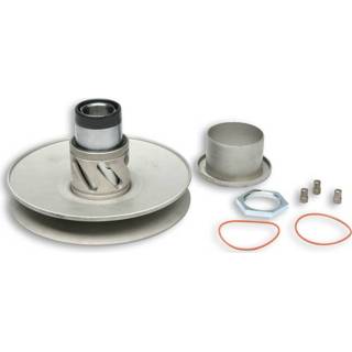 👉 Active Koppelingspoelie set Piaggio 2-takt Malossi 6113101