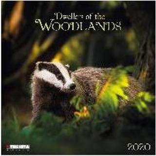 👉 Forest Creatures 2020 What A Wonderful World 9783965540644