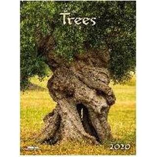 👉 Trees 2020 9783965540019