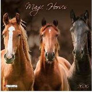 👉 Magic Horses 2020 What A Wonderful World 9783965540682