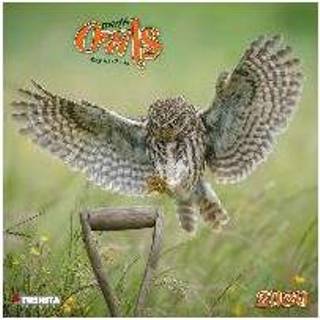 👉 Magic Owls 2020 9783965540712