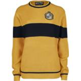 👉 Gebreide trui geel zwart Harry Potter Hufflepuff - Quidditch geel-zwart 3664794076893