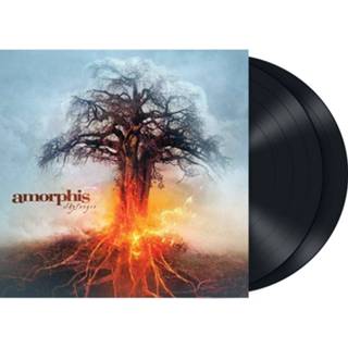 👉 Lp Amorphis Skyforger 2-LP standaard 803343175639