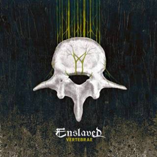 👉 Enslaved Vertebrae CD st.