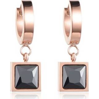 Zirkonia vrouwen rose Cilla Jewels Damesoorbellen met Monochrome 8720088558355