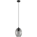 Glazen hanglamp active Eglo CadaquesØ 18cm 98582 9002759985820