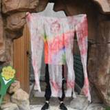 👉 Gordijn Halloween Horror decoraties gaas Haunted House scène regeling rekwisieten type: dun garen 8733253523140