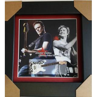 👉 Miniatuur Gitaar van Bryan Adams