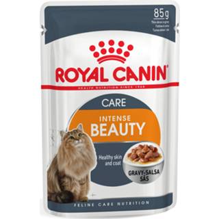 👉 Kattenvoer jelly Royal Canin Intense Beauty In - 12x85 g 9003579311790
