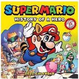 👉 Super Mario Retro 2020 Wall Calendar - Pokemon 9781419736728