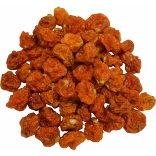 👉 Inca bes bessen gedroogd