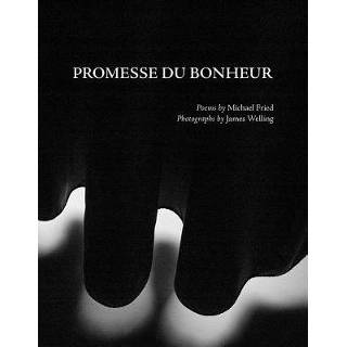 👉 Promesse Du Bonheur - Fried, Michael 9781941701430