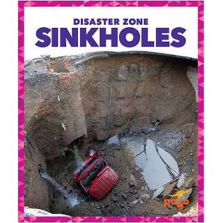 👉 Zwart Sinkholes - Vanessa Black 9781620315651