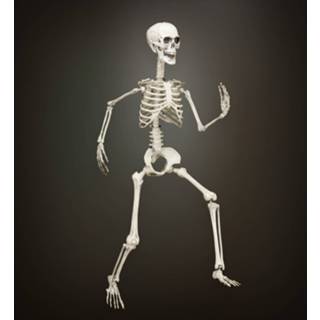 👉 Active Skeletten die je zelf kunt buigen 8003558048748