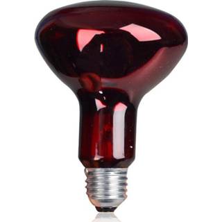 👉 275 W Infrarood Warmte lamp Infra Care gloeilamp 110 V 220 V E27 - 220v