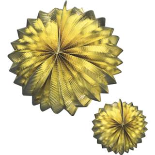 👉 Lampion gouden active bolvormig 25cm 8003558662401