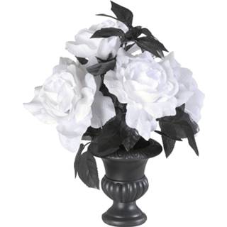 👉 Vaas active witte met 6 rozen kleurverlichting 8003558786909