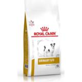 👉 Honden voer small Royal Canin Urinary S/O dog - Hondenvoer veterinair 1,5 kg 3182550780940