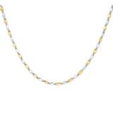 👉 Robuust Geelgouden en Witgouden Collier voor Dames
