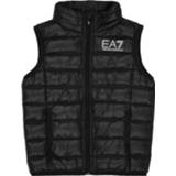 👉 Bodywarmer male zwart 8Npq01 Pn29Z 8052390699731 1579167684051