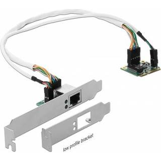 👉 Netwerkadapter DeLOCK miniPCle I/O PCle 1x Gigabit Lan 4043619952656