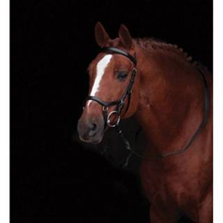 👉 Bruin full Rambo Micklem Competition Bridle - 649982658344