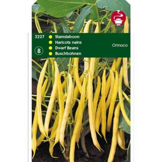 👉 Hortitops Stamslabonen Orinoco - Sla- of sperziebonen - 100 gram